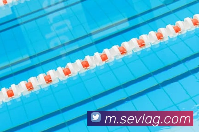 ag官网服务体系